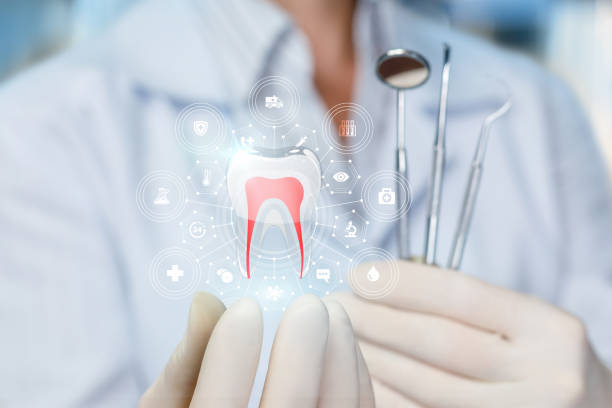 Professional  Holistic Dental Services in Borden, IN